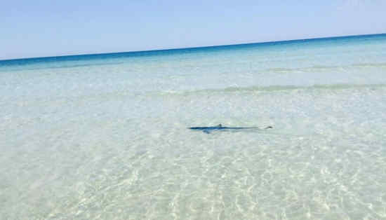 mappa Santa Porto Cesareo